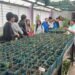 La Granja ‘Cruz de Piedra’ realizó una jornada productiva con tres escuelas de la ciudad de San Luis
