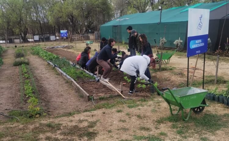 Estudiantes de Nutrición conocieron los sistemas productivos de la granja de Cruz de Piedra