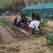 Estudiantes de Nutrición conocieron los sistemas productivos de la granja de Cruz de Piedra