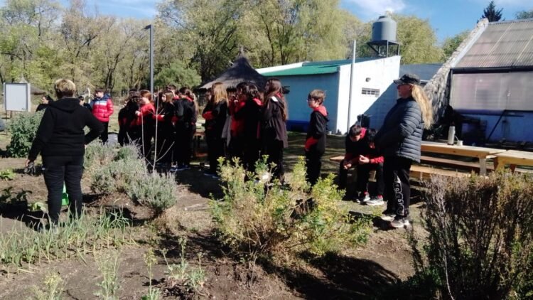 La Granja ‘Cruz de Piedra’ realizó una jornada productiva con tres escuelas de la ciudad de San Luis