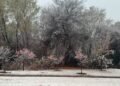 Nieve en varias localidades. Juana Koslay también sorprendió