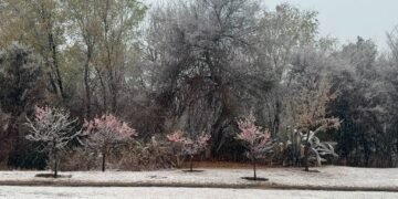 Nieve en varias localidades. Juana Koslay también sorprendió