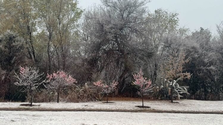 Nieve en varias localidades. Juana Koslay también sorprendió