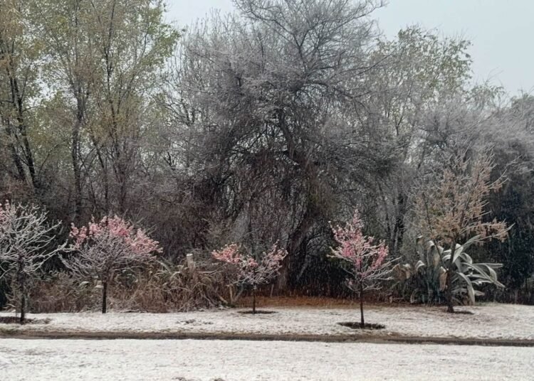 Nieve en varias localidades. Juana Koslay también sorprendió
