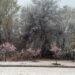 Nieve en varias localidades. Juana Koslay también sorprendió