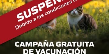 Suspenden la campaña de vacunación antirrábica por cuestiones climáticas