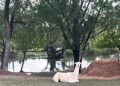 La Granja Productiva Demostrativa ‘Cruz de Piedra’ sumó una llama a su establecimiento