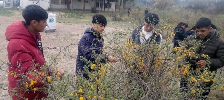 Estudiantes de Donovan le presentaron su proyecto de té de espinillo al Gobernador