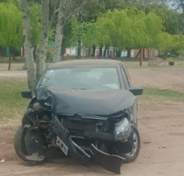 Un auto quedó destrozado tras chocar contra un árbol en la avenida José Santos Ortiz